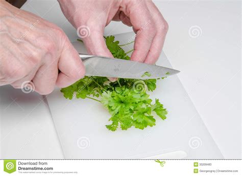 Cutting Of Parsley 1 Stock Image Image Of Hand Detail 33209483