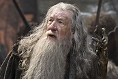 Ian McKellen aclara por qué rechazó ser Dumbledore en la saga 'Harry ...
