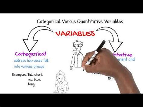 Categorical Versus Quantitative Variables Youtube