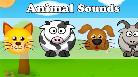 The Fascinating World Of Animal Sounds