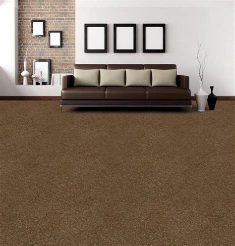 10 Brown Carpet Living Room Decoomo