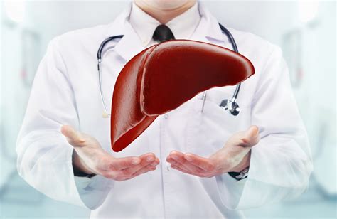 Top 5 Best Supplements for Liver Health