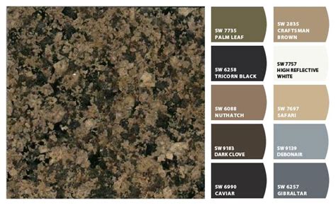 For painting your countertops you will need: Desert Brown granite | Brown granite countertops, Brown ...