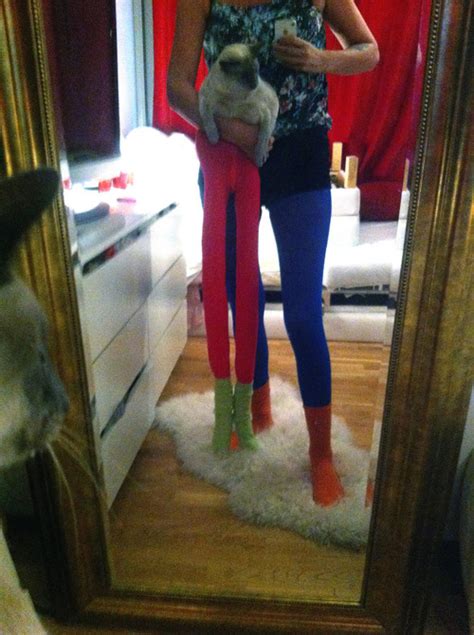 We Cant Stop Laughing At These Photos Of Cats Wearing Tights The