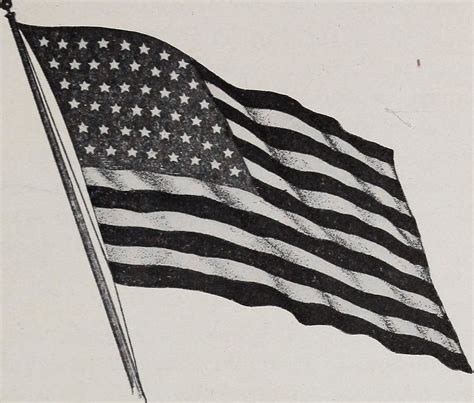 Image From Page 42 Of The Stars And Stripes From Washing Flickr