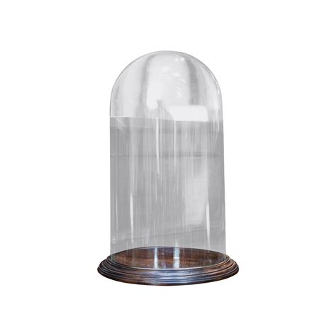 Victorian Glass Display Dome At 1stdibs