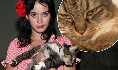 Katy Perry Shares The Heartbreaking News That Her Beloved Cat Kitty Purry Has Passed Away