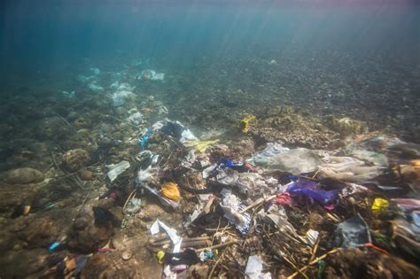 En 2040 La Pollution Plastique Dans Les Océans Pourrait Tripler Et