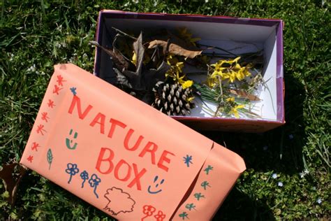 Diy Nature Collection Box Community Idea Stations