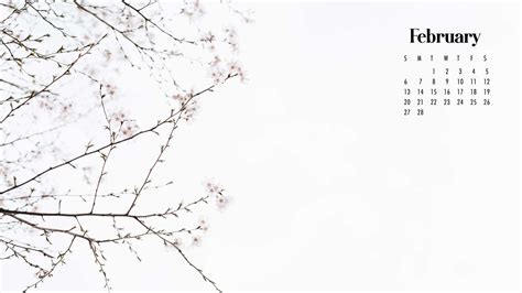 White Blossom Flowers February Calendar Hd February Wallpapers Hd