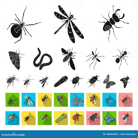 Different Kinds Of Insects Blackflat Icons In Set Collection For Design Insect Arthropod