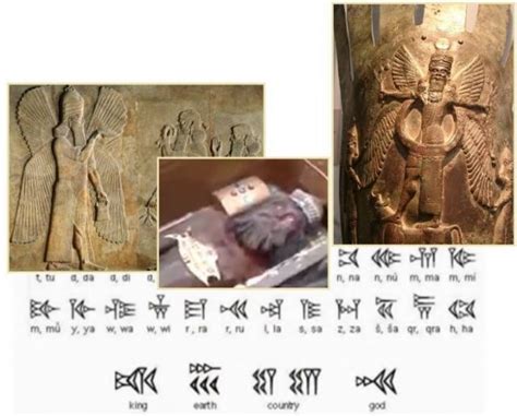 Exceptional Discovery The Body Of King Anunnaki For 12000 Years
