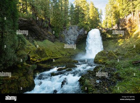 Hiking Trails Sahalie Falls Waterfall In Central Oregon Along The