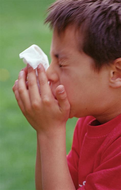 Boy Sneezing Photograph By Paul Whitehillscience Photo Library