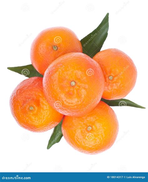 Oranges Stock Image Image Of Ripe Food Group Fresh 18014317