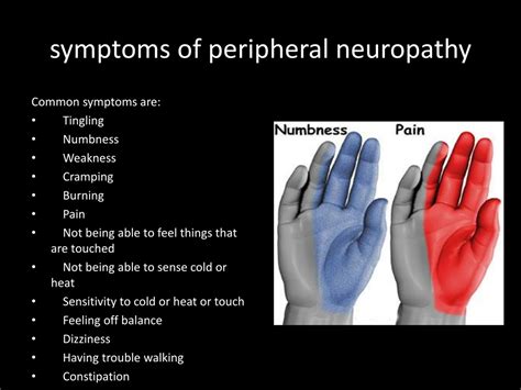 Ppt Peripheral Neuropathy Powerpoint Presentation Free Download Id1313109