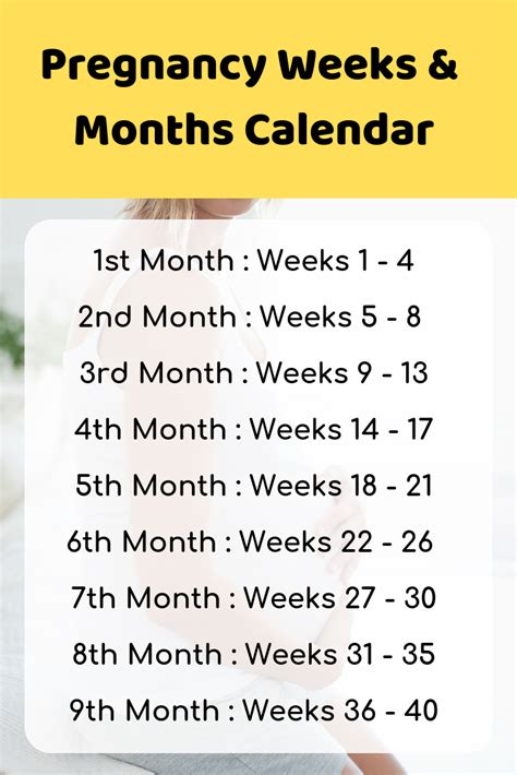 Pregnancy Weeks To Months Calendar Ambrose Mitchell