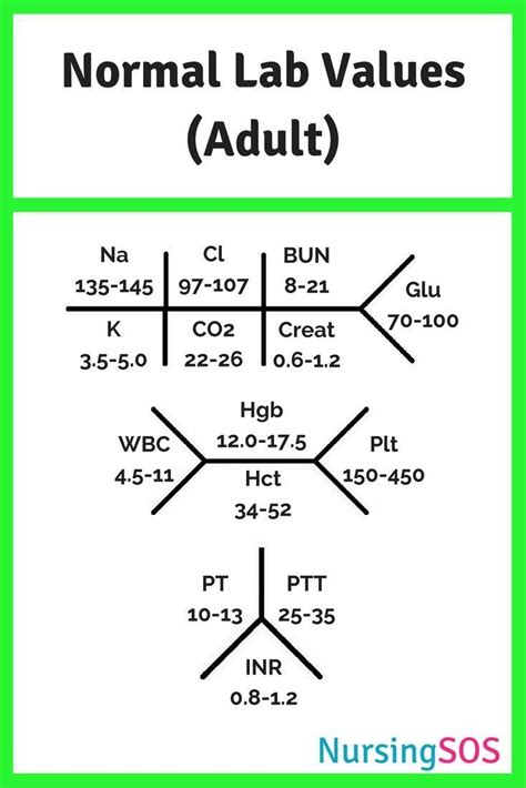 Normal Lab Values You Need To Know In Nursing School Click Through To