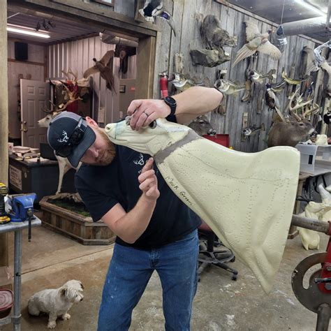 Taxidermy And Deer Processing Hurricane Creek Lodge