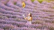 2022「桃園仙草花節」即將開跑！台版普羅旺斯必打卡，紫色花海宛如夢幻仙境 - BEAUTY美人圈