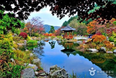 The Garden Of Morning Calm Khu Vườn TuyỆt ĐẸp ở Hàn Quốc 2024 Gokorea