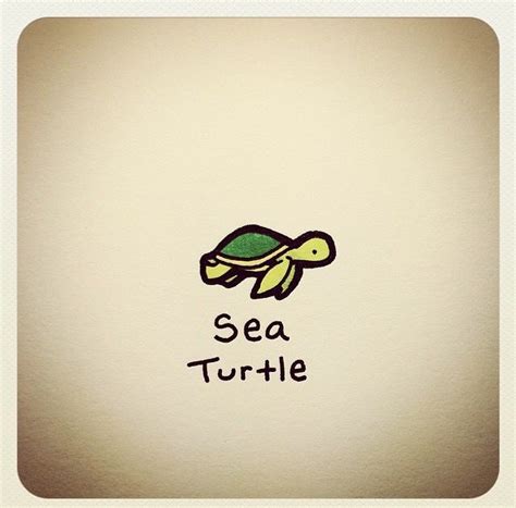 Turtlewayne Turtle Drawing Cute Turtle Drawings Cartoon Turtle