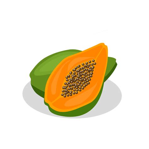 Papaya Fruit Illustration Image Papaya Fruit Icon Fruits 9195556