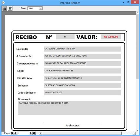 Recibo De Pagamento Tudo O Que Precisa Saber Guia Do Excel Hot Sex