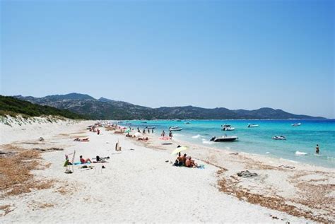 Spiaggia Saleccia Picture Of Plage De Saleccia Corsica Tripadvisor