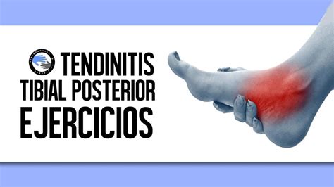 Tendinitis Del Tibial Posterior Tratamiento Y Ejercicios Tendinitis
