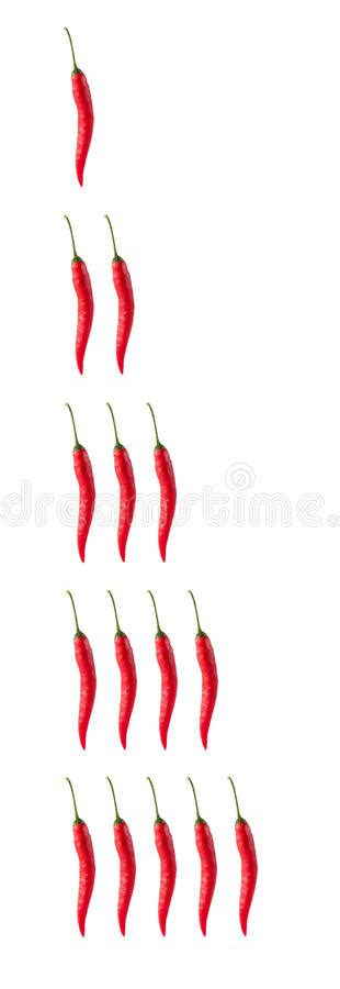 The kashmiri chilli is smaller, rounder and less pungent. Spicy level stock image. Image of design, chili, peppers ...