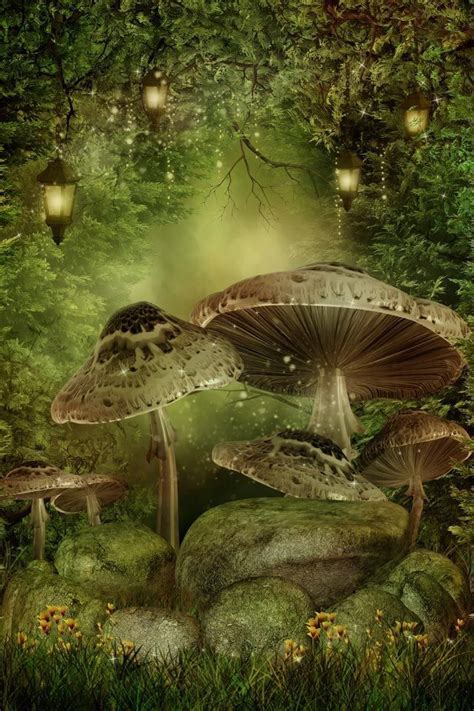 Magical Mushroom Enchanted Forest Fantasy Landscape Fairy Art