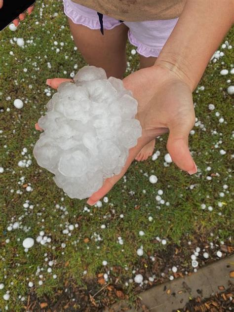 This Enormous Hail Stone Landed In Greenbank This Afternoon Have You