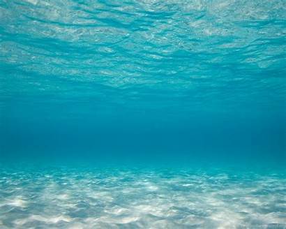 Sea Underwater Ocean Wallpapers Background Backgrounds Bottom