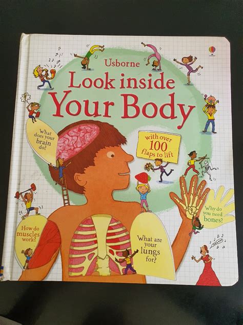 Looks Inside Your Body Usborne Hobbies And Toys Books And Magazines
