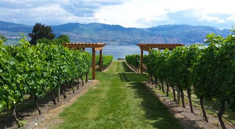 British Columbia Top 5 Wineries