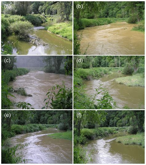 Examples Of The Water Level And Turbidity Conditions Of The Blanice Download Scientific Diagram