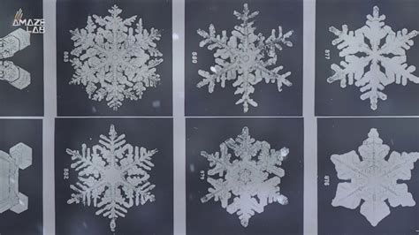 Why No Two Snowflakes Are Alike According To Science Youtube
