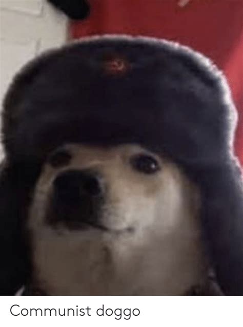 Communist Doggo Reddit Meme On Meme