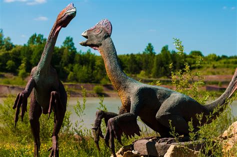 Scientists Discover Dinosaur Adapted To Life In Water Great Lakes Ledger