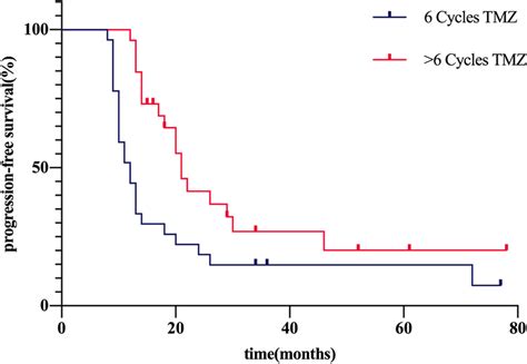 Progression Free Survival Curve For Patients Diagnosed With Gbm After
