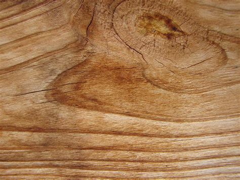 Free 20 Wood Grain Texture Designs In Psd Vector Eps