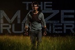 10 Curiosidades sobre la película "The Maze Runner" (Correr o Morir ...