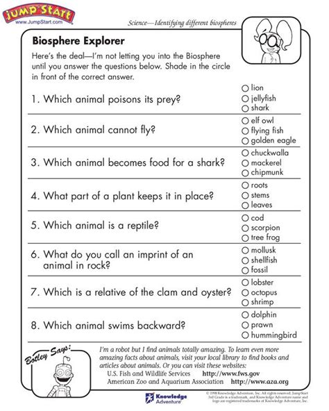 Science For Second Graders Worksheets