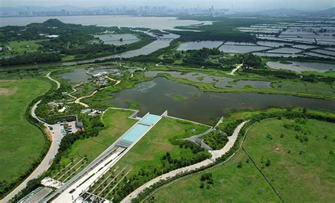 Hong Kong Wetland Park Tour Guide And Tips