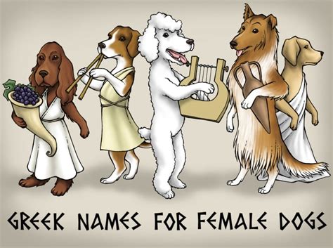 Cats are wise, so taking a name from the greek goddess of wisdom and war makes purrfect sense. 101 Greek Goddess Names That Make Epic Female Dog Names ...