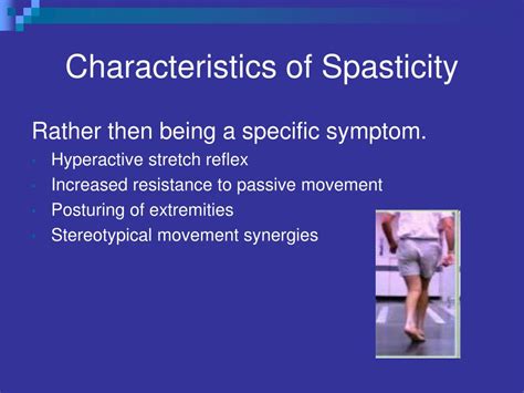 Ppt Spasticity What Causes It And Can It Be Inhibited Powerpoint