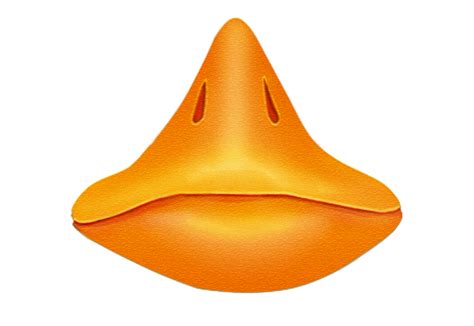 Orange Beak Clipart 20 Free Cliparts Download Images On Clipground 2022