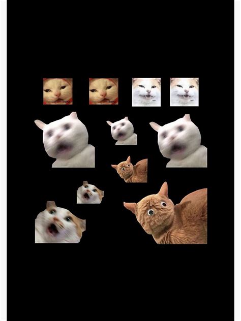 11 Pack Cats Memes Sticker Combo Weird Cat Memes Spiral Notebook For