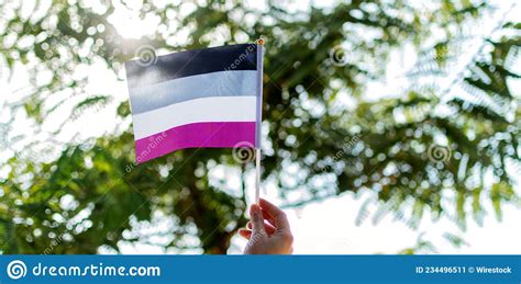 Personas Con La Mano Portando Una Bandera De Orgullo Asexual Imagen De Archivo Imagen De Onda
